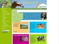 Thermalisme - Station Thermale Amélie les bains : Cure Thermale en pathologies rhumatismales et voies respiratoires